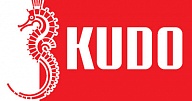 KUDO (аэрозоли)