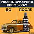 Удалитель ржавчины КППС SPRAY (110г)