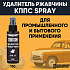 Удалитель ржавчины КППС SPRAY (110г)